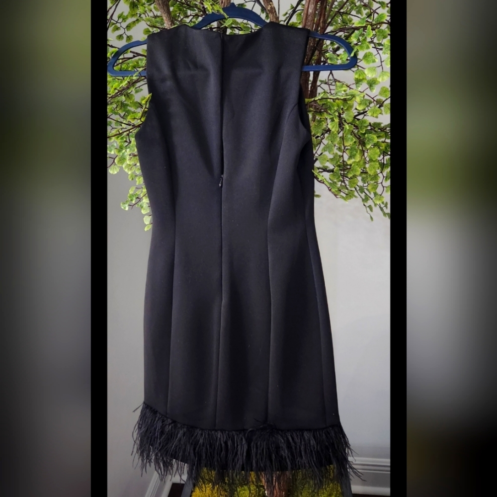 Dress - Picture 2 of 2
